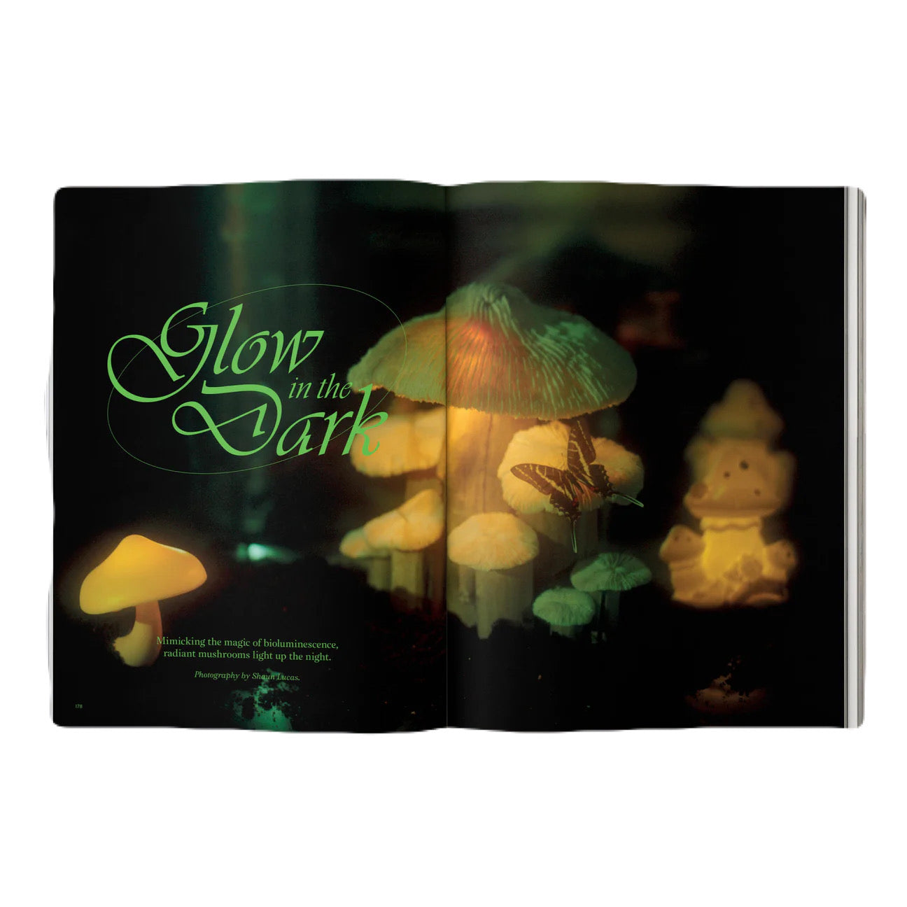 Mushroom People Magazine