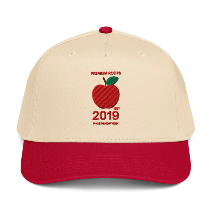 Shop 5-Panel Snapback