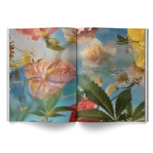 A Weed Is A Flower Book