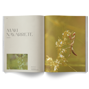A Weed Is A Flower Book