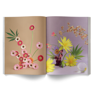 A Weed Is A Flower Book