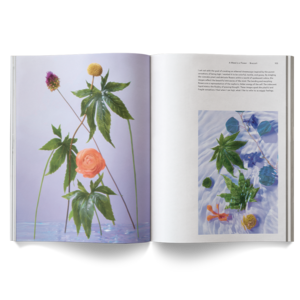 A Weed Is A Flower Book