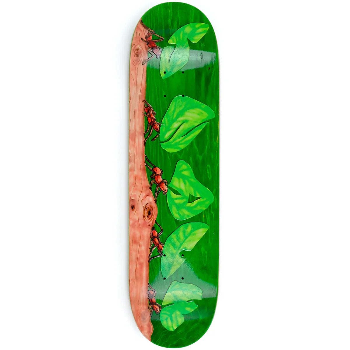 Snack Leafcutter Skateboard Deck 8.25