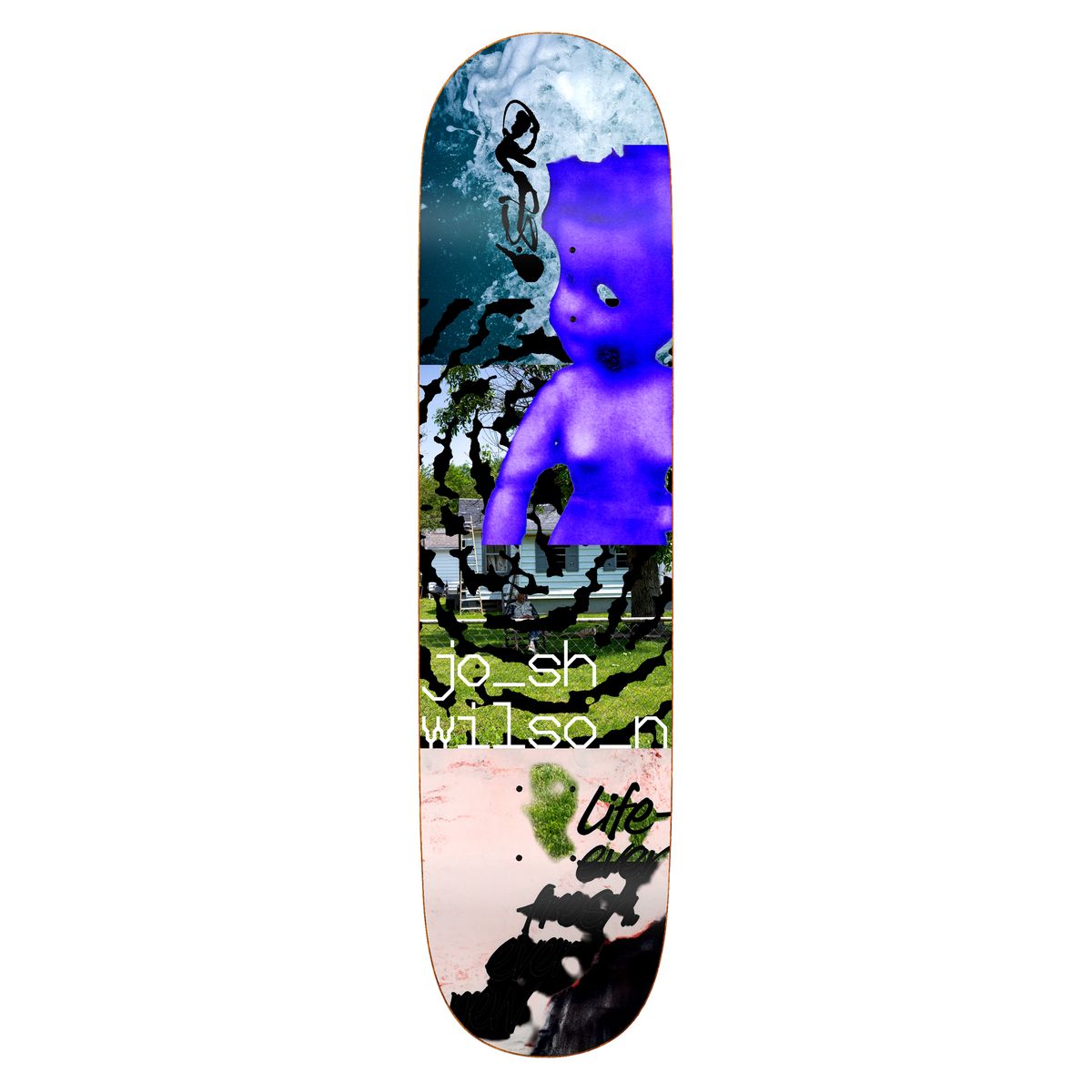 Quasi Wilson 'Needmore' 8"