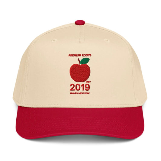 Shop 5-Panel Snapback