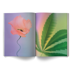 A Weed Is A Flower Book